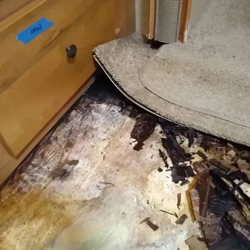 Wood Floor Water Damage in Denton County, TX